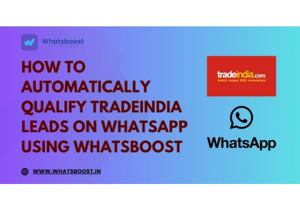 Automate B2B Lead Qualification on WhatsApp in Catalonia
