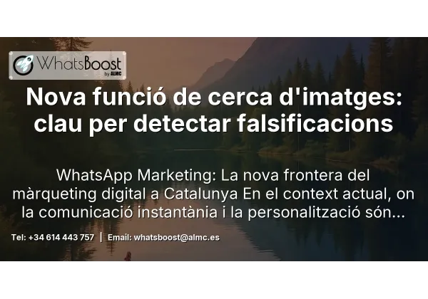 Nova funció de cerca d'imatges: clau per detectar falsificacions