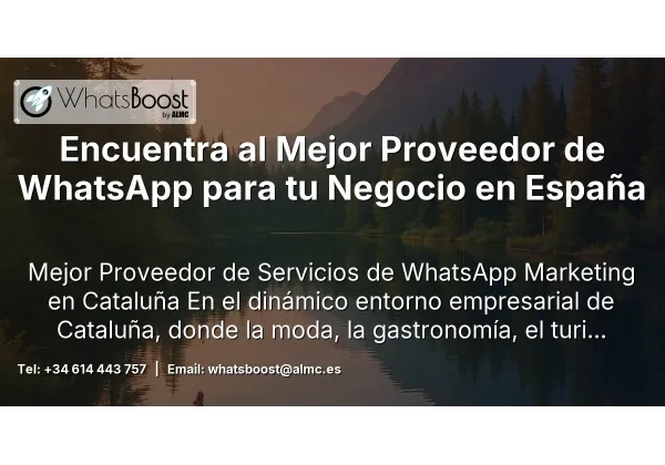 Encuentra al Mejor Proveedor de WhatsApp para tu Negocio en España