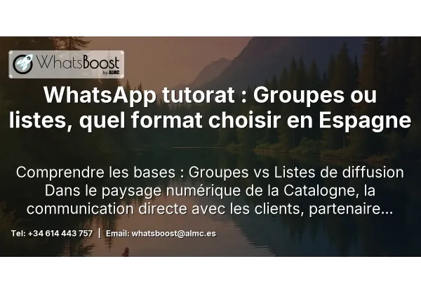 WhatsApp tutorat : Groupes ou listes, quel format choisir en Espagne