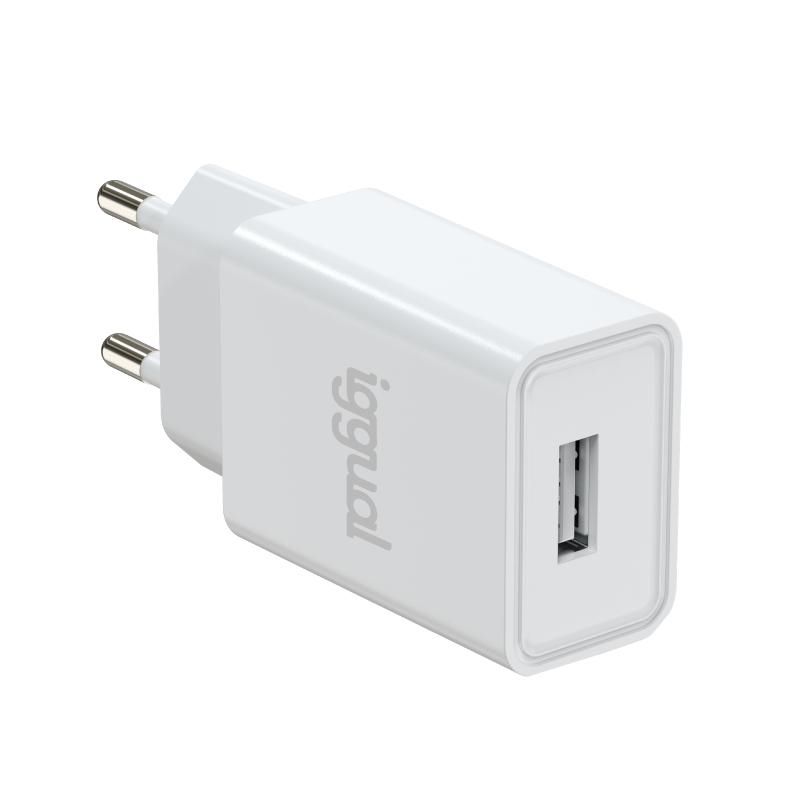 iggual IGG316924 wall charger 1xUSB-A 10W white