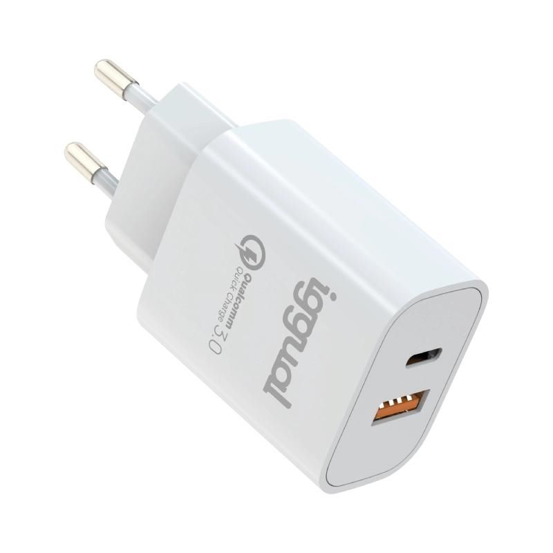 iggual IGG317419 wall charger USB QC3.0 + USB-C PD 20W white