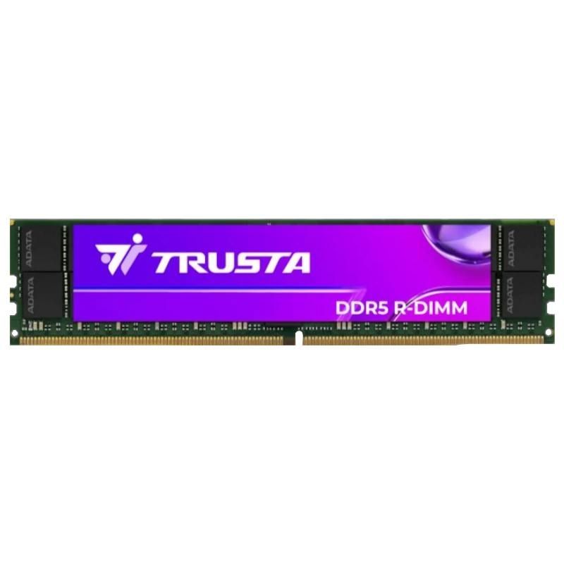 Memoria RAM A-DATA TR5R64GS64A404HA-220 64G 6400M DDR5 RDIMM